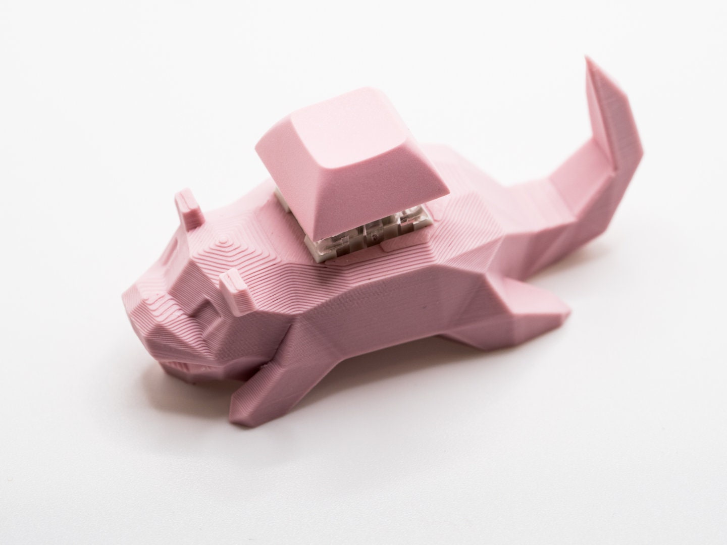 Low Poly Slow poke Mechanical Switch Fidget Toy | Gift For Him, Gift for Her, Birthday Gift