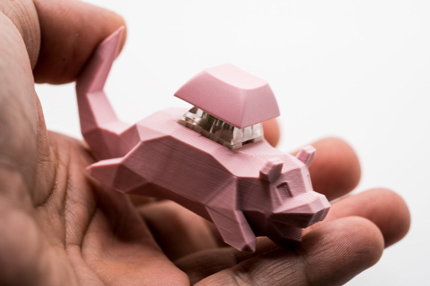 Low Poly Slow poke Mechanical Switch Fidget Toy | Gift For Him, Gift for Her, Birthday Gift